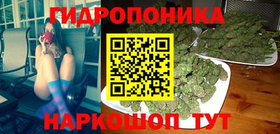 мдпв Татарск
