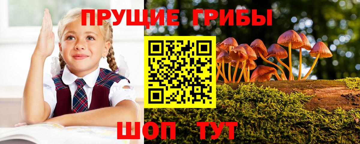 Псилоцибиновые грибы ЛСД Осинники